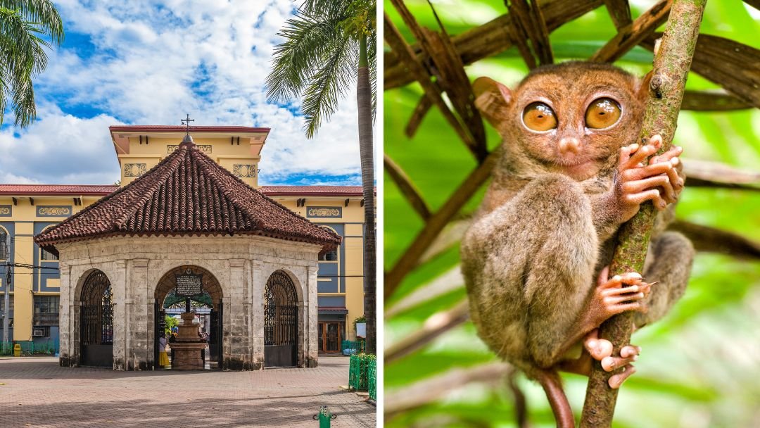 Exploring Paradise: A 5-Day Cebu To Bohol Itinerary