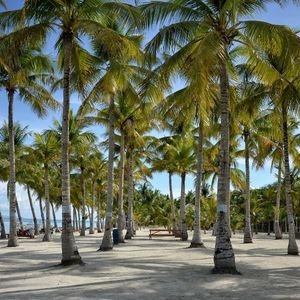 Beach Hopping Bohol Beach Hopping