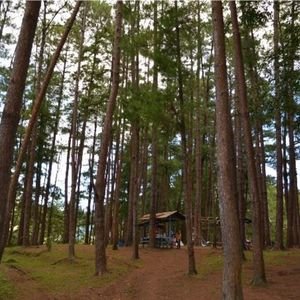 Balanghai-Shrine-Museum-4