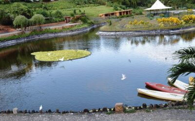 Discover Tranquility And Adventure At Garinfarm Pilgrimage Resort: Your Perfect Getaway Destination